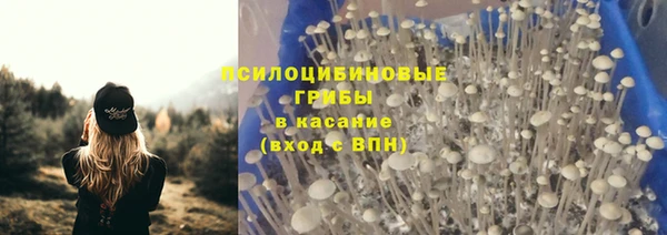 apvp Алексеевка