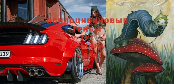 apvp Алексеевка