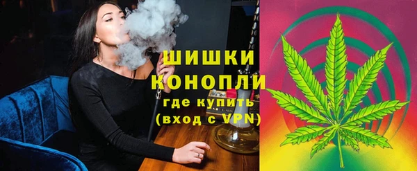 сатива Новокубанск