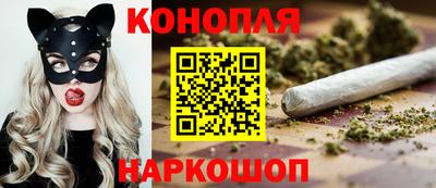 крисы Гай